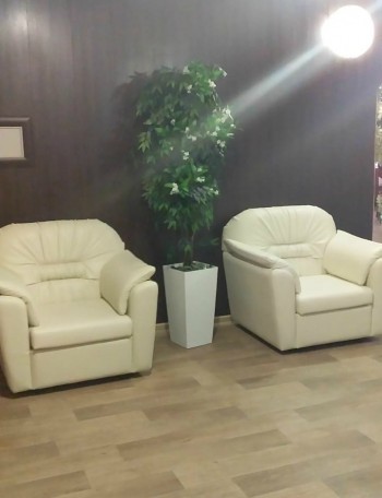 Кресло Премьер в Горняке - gornyak.mebel54.com | фото