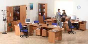 Мебель для персонала Альфа 61 Ольха в Горняке - gornyak.mebel54.com | фото