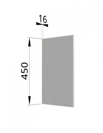 Панель торцевая (для шкафа горизонтального высокого) ВПГ Ройс (Графит софт) в Горняке - gornyak.mebel54.com | фото