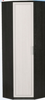 Шкаф для одежды угловой ДЛЯ ГОСТИНОЙ ШОУ-695 Венге/Дуб выбеленный в Горняке - gornyak.mebel54.com | фото